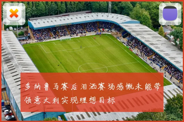 多纳鲁马赛后泪洒赛场感慨未能带领意大利实现理想目标
