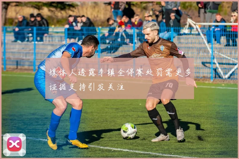 媒体人透露李镇全停赛处罚需更多证据支持引发关注
