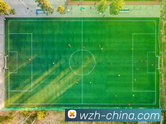 数据分析功能